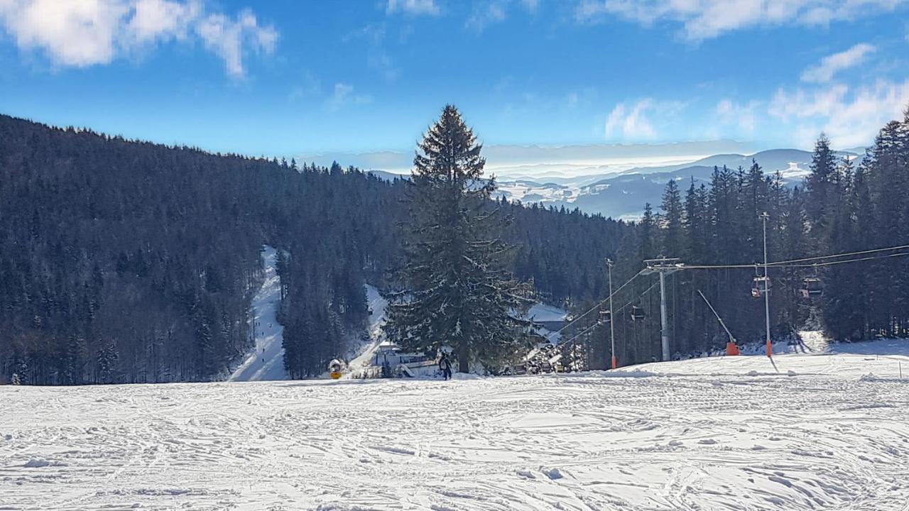 Chalex Aigen im Mühlkreis Exterior foto